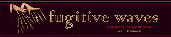 Fugitive Waves Banner 2 medium